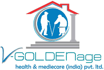 VGold Logo