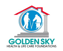 VGold Logo